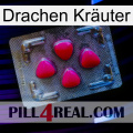 Drachen Kräuter 13